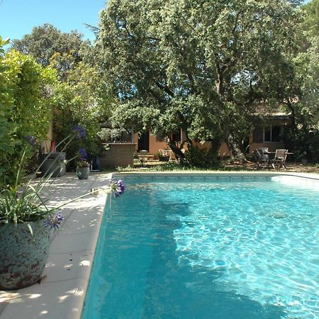 La Vigne Et L'Olivier Apartman Villeneuve-lès-Avignon Kültér fotó